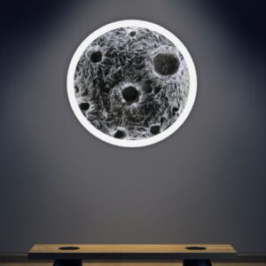 Lunar Echoes