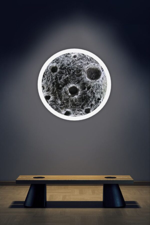 Lunar Echoes