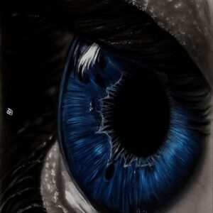 Vision in Blue
